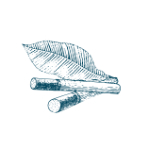 true tobacco leaf icon